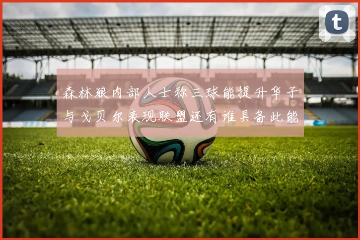 森林狼内部人士称三球能提升华子与戈贝尔表现联盟还有谁具备此能力