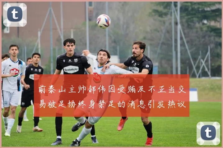 前泰山主帅郝伟因受贿及不正当交易被足协终身禁足的消息引发热议