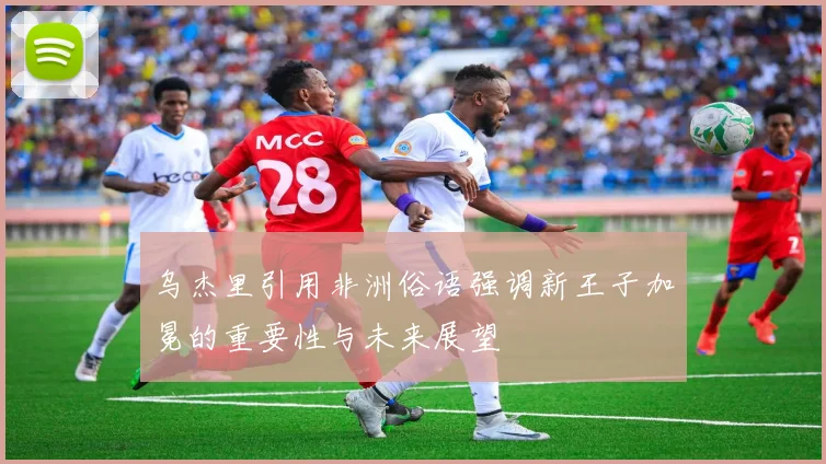 乌杰里引用非洲俗语强调新王子加冕的重要性与未来展望